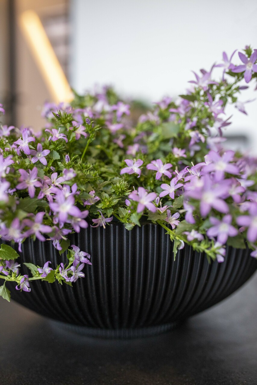 Bol Groove Noir Bol Groove Noir