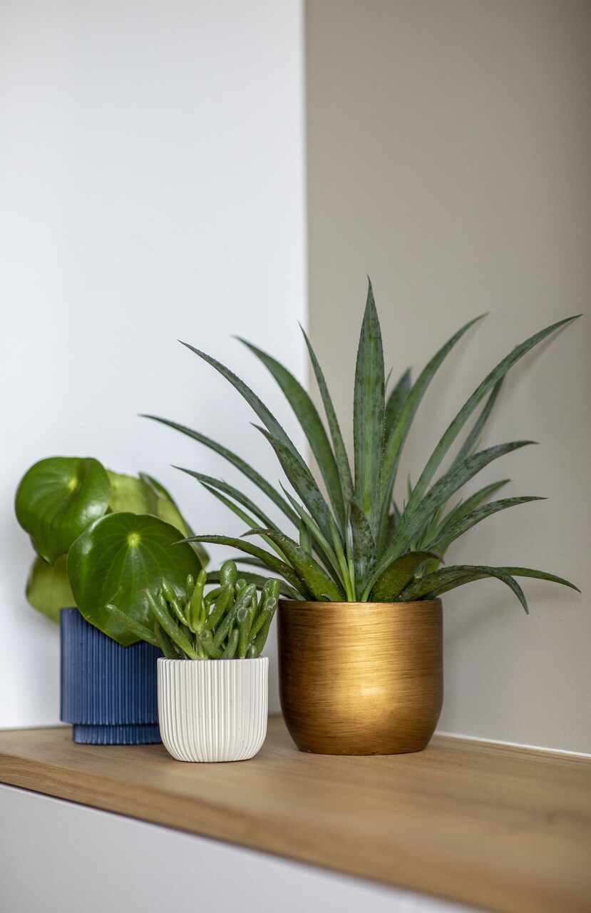 Vase Cylindre Groove Bleu Foncé Vase Cylindre Groove Bleu Foncé