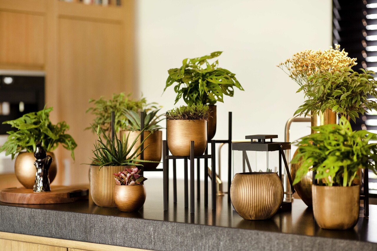 Pot Boule Groove Noir Or Pot Boule Groove Noir Or