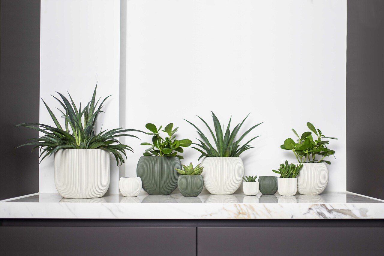 Vase Boule Groove Vert