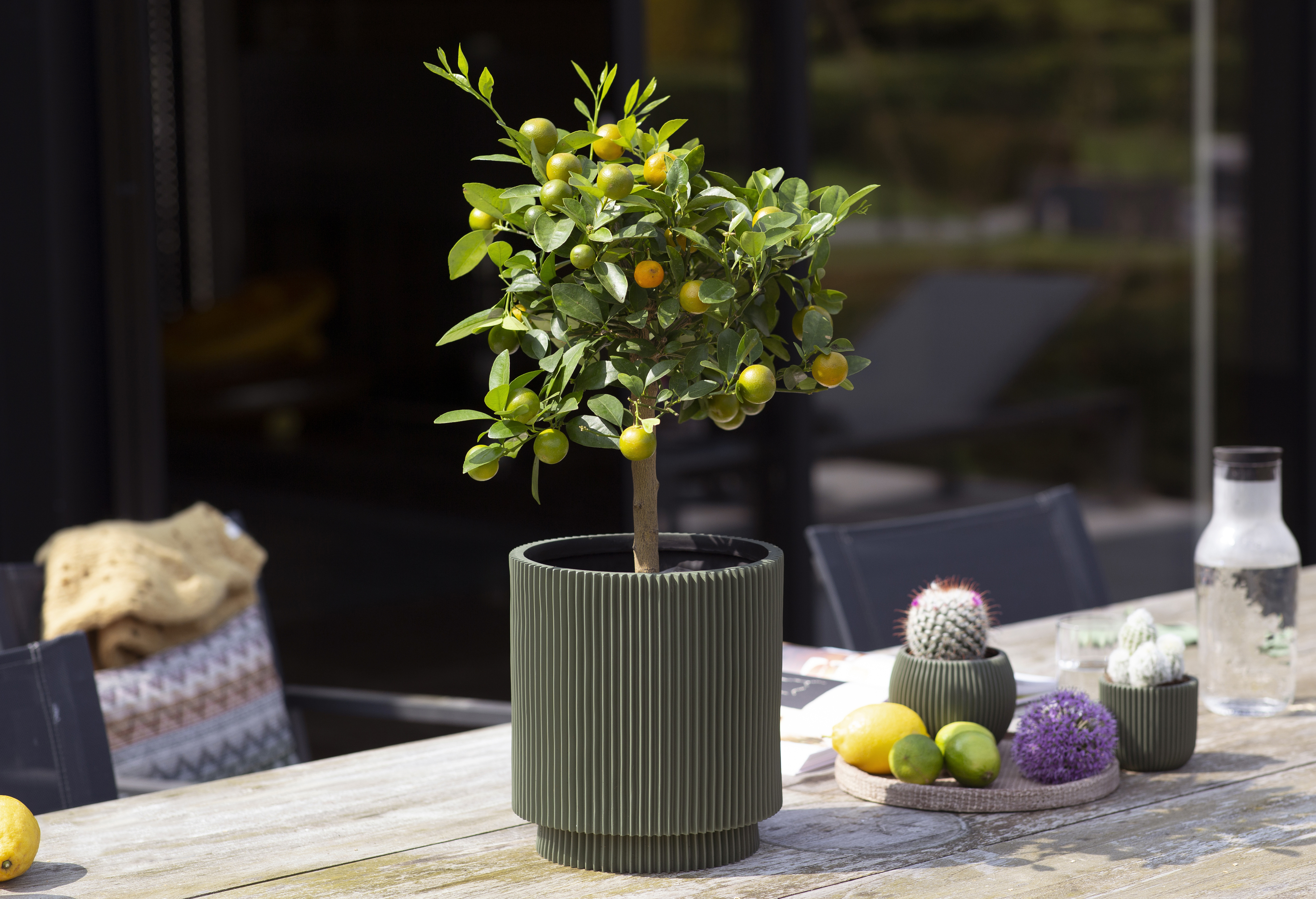 Pot Boule Groove Vert Pot Boule Groove Vert