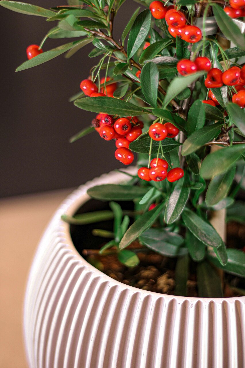 Vase Boule Groove Ivoire Vase Boule Groove Ivoire