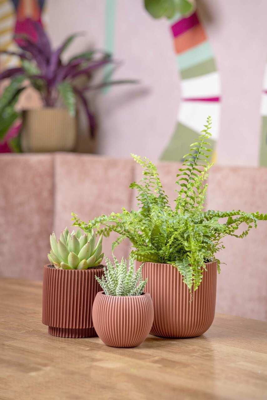 Vase Cylindre Groove Rouge Merlot Vase Cylindre Groove Rouge Merlot