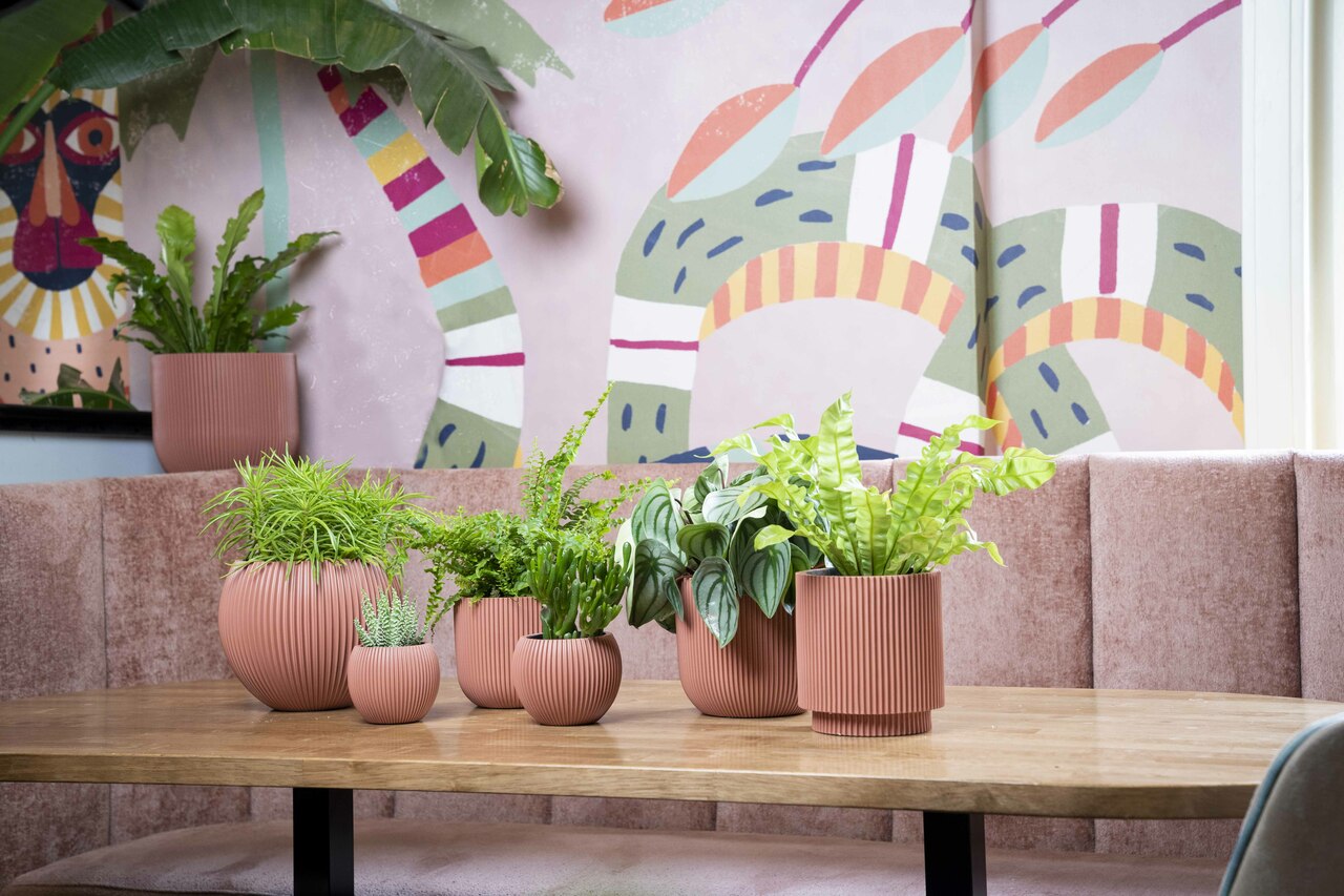 Pot Boule Groove Rose Pot Boule Groove Rose