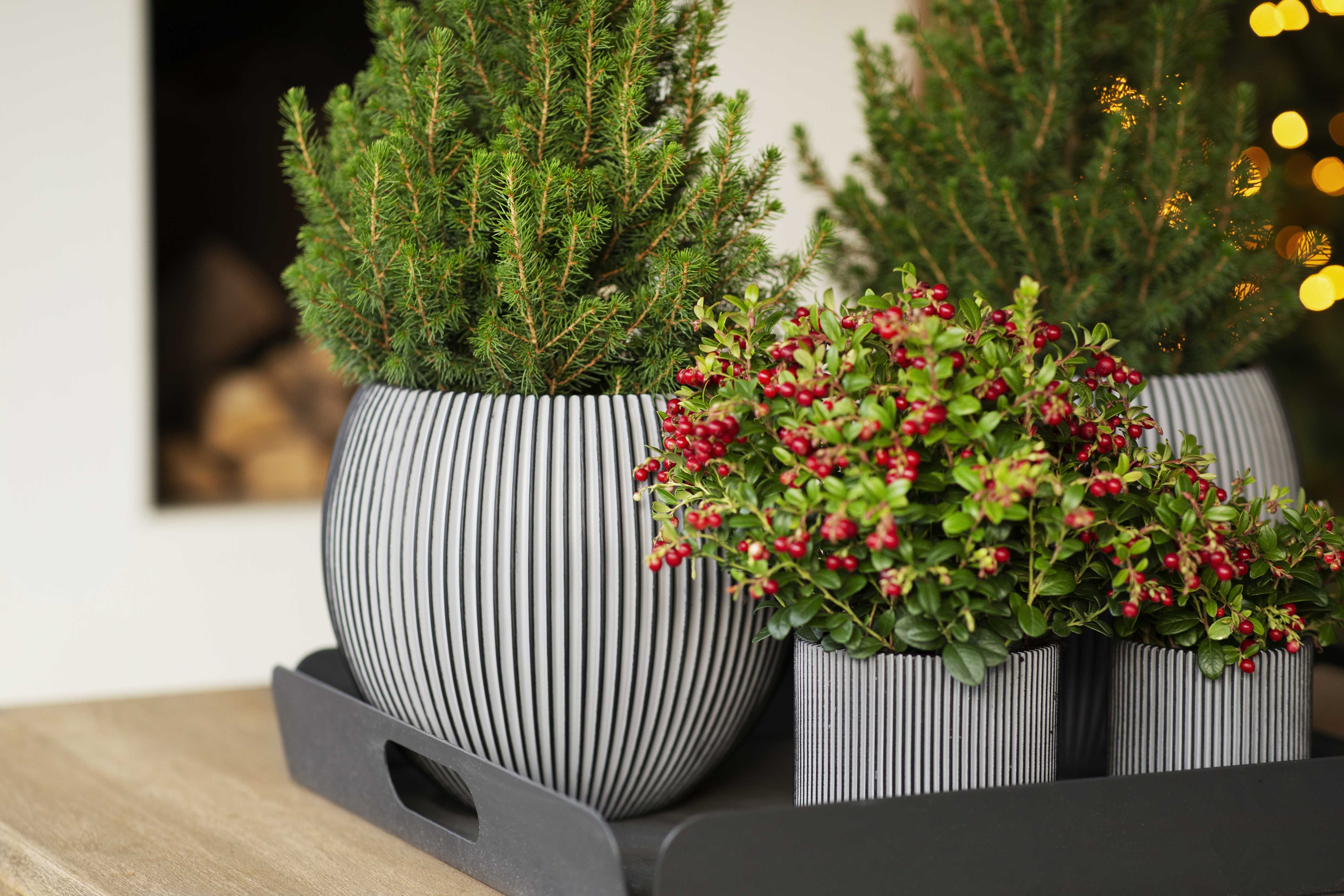 Vase Boule Groove Anthracite