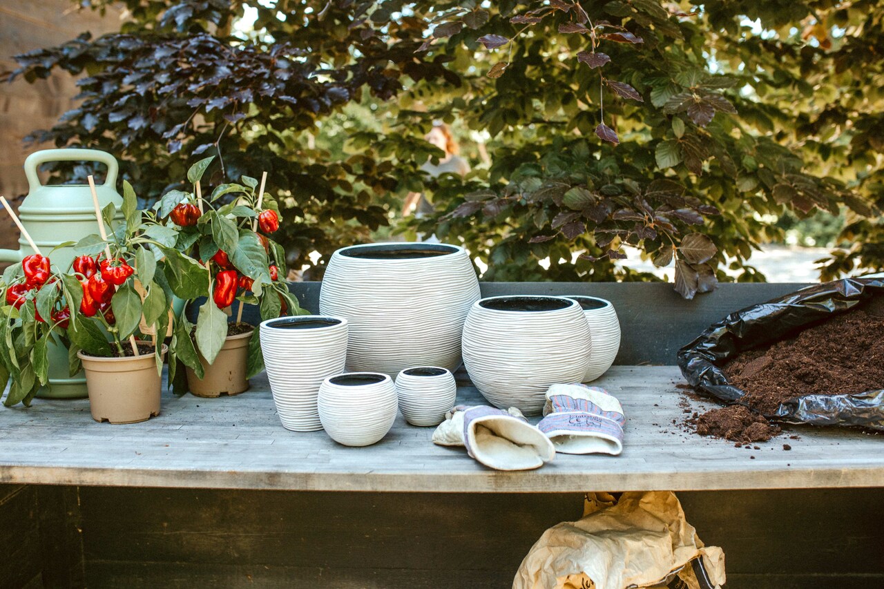 Vase Boule Rib Ivoire