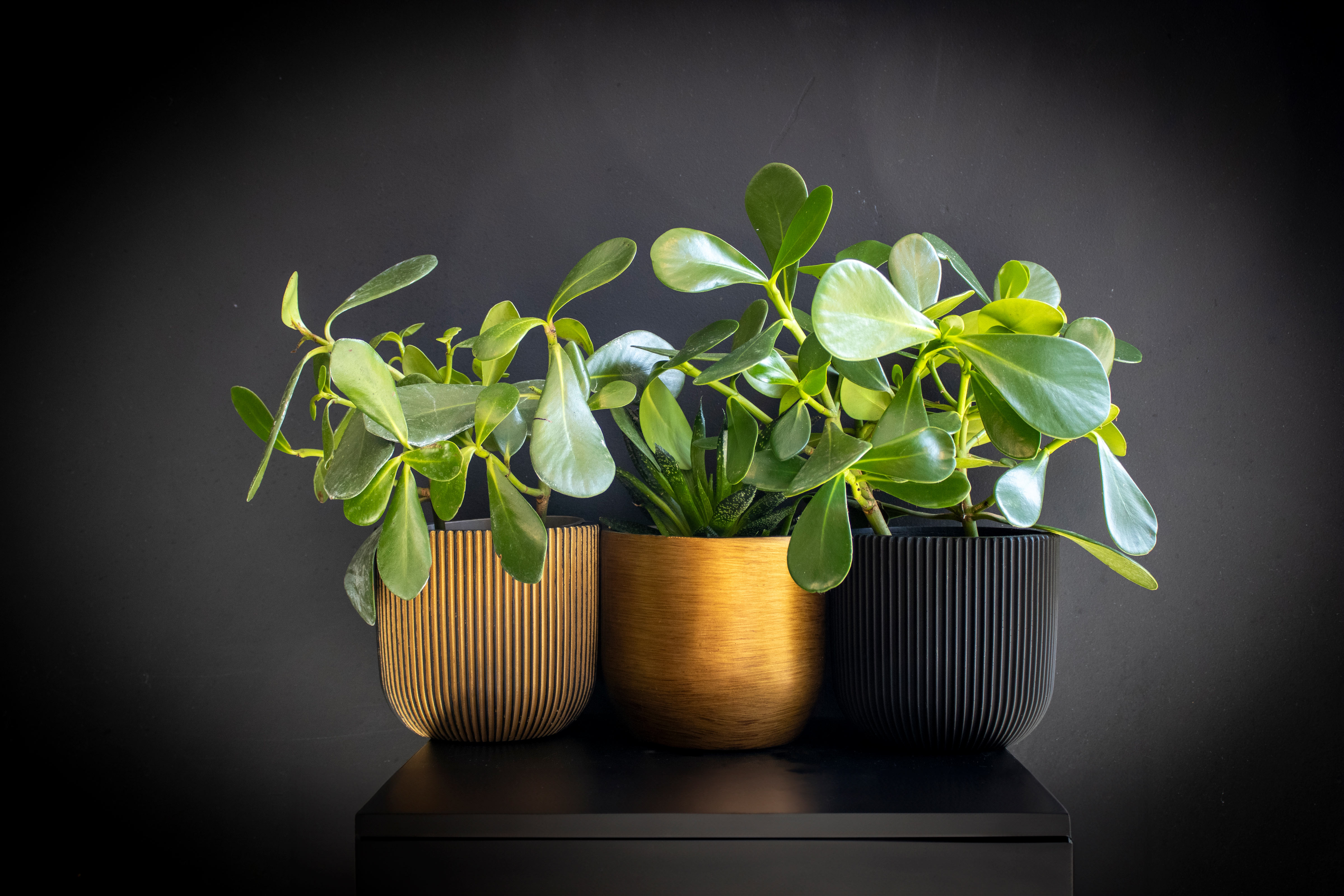 Pot Boule Retro Cuivre Pot Boule Retro Cuivre