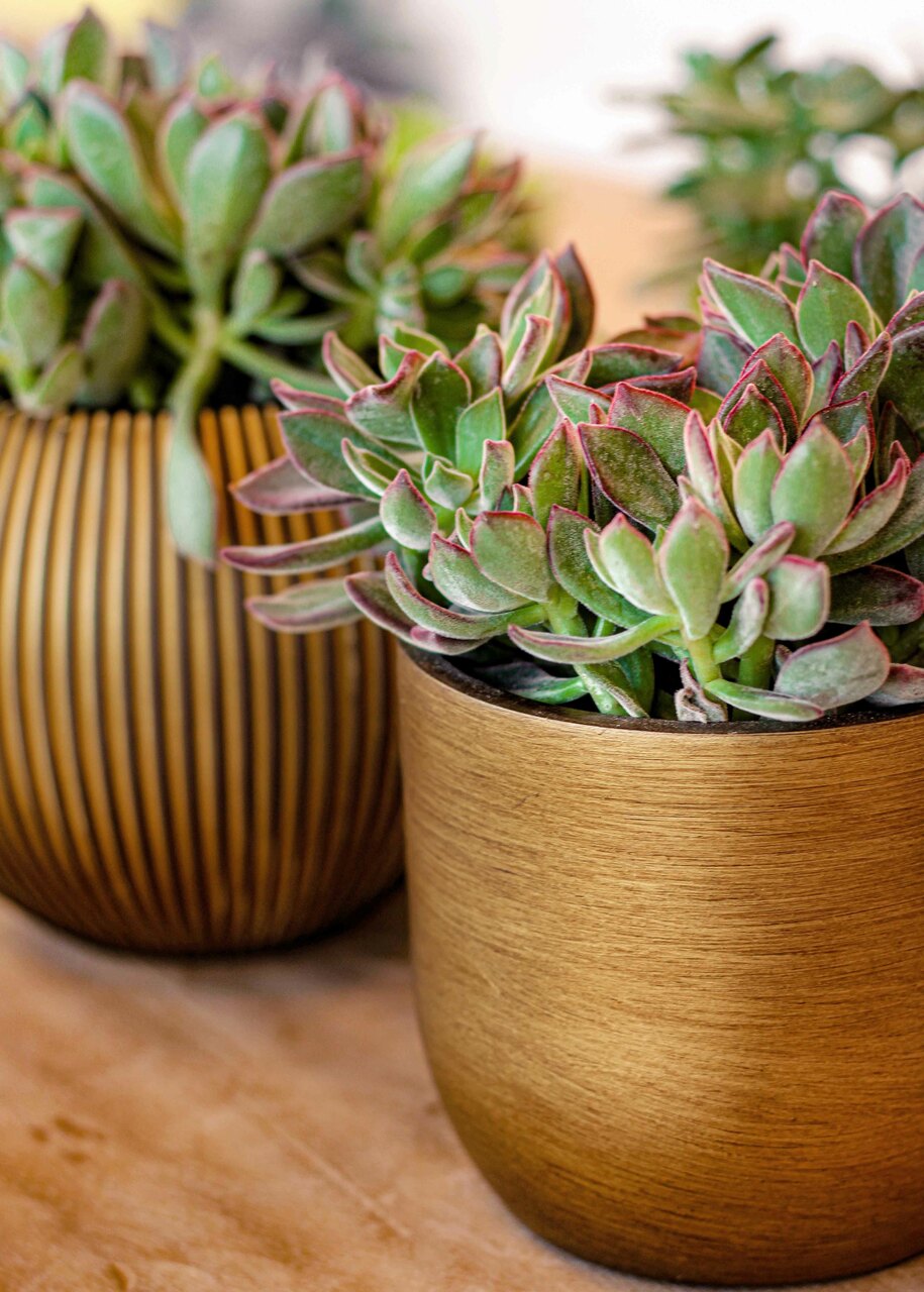 Pot Boule Retro Or Pot Boule Retro Or