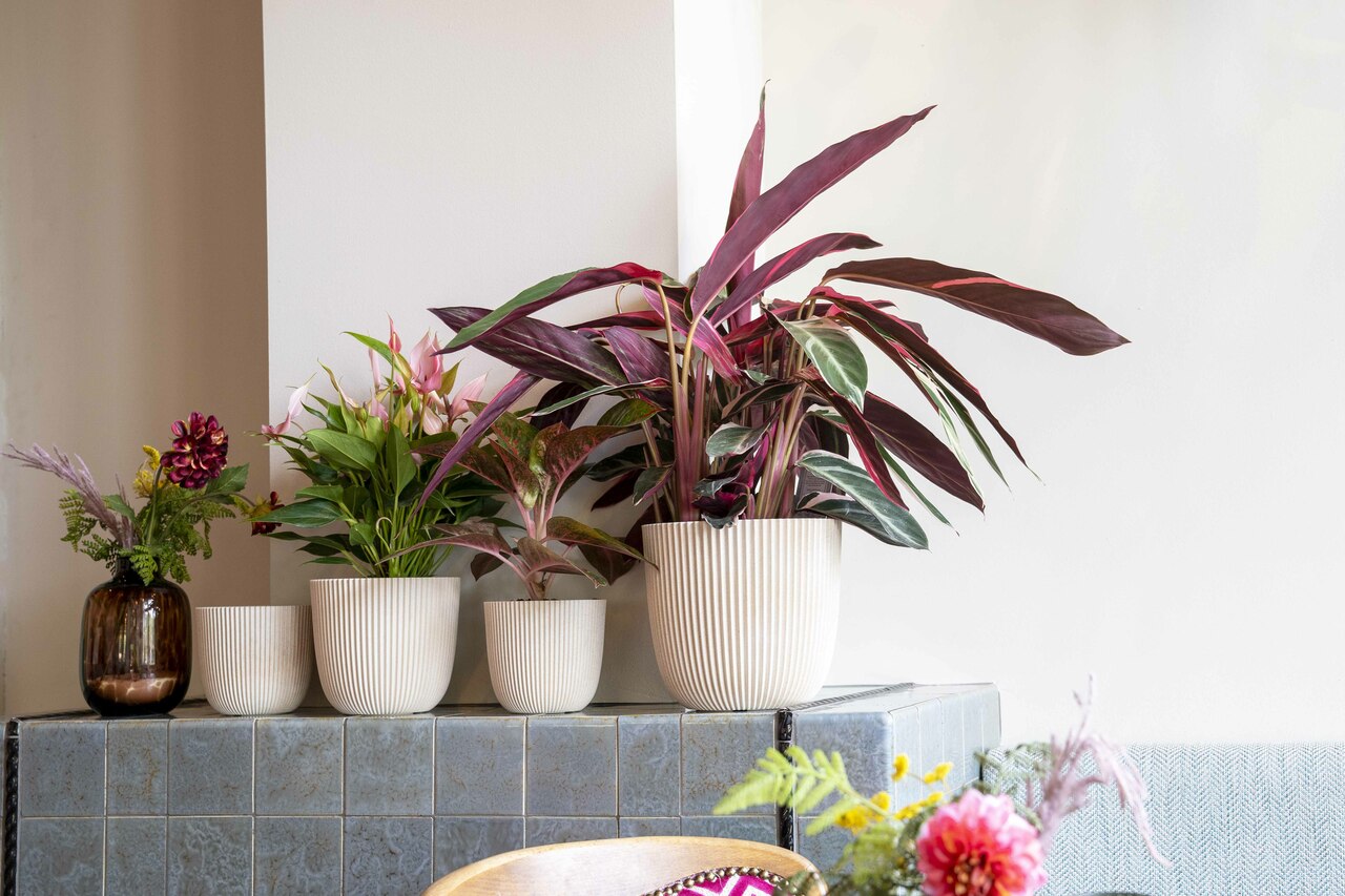 Pot Boule Groove Sciure Beige Pot Boule Groove Sciure Beige