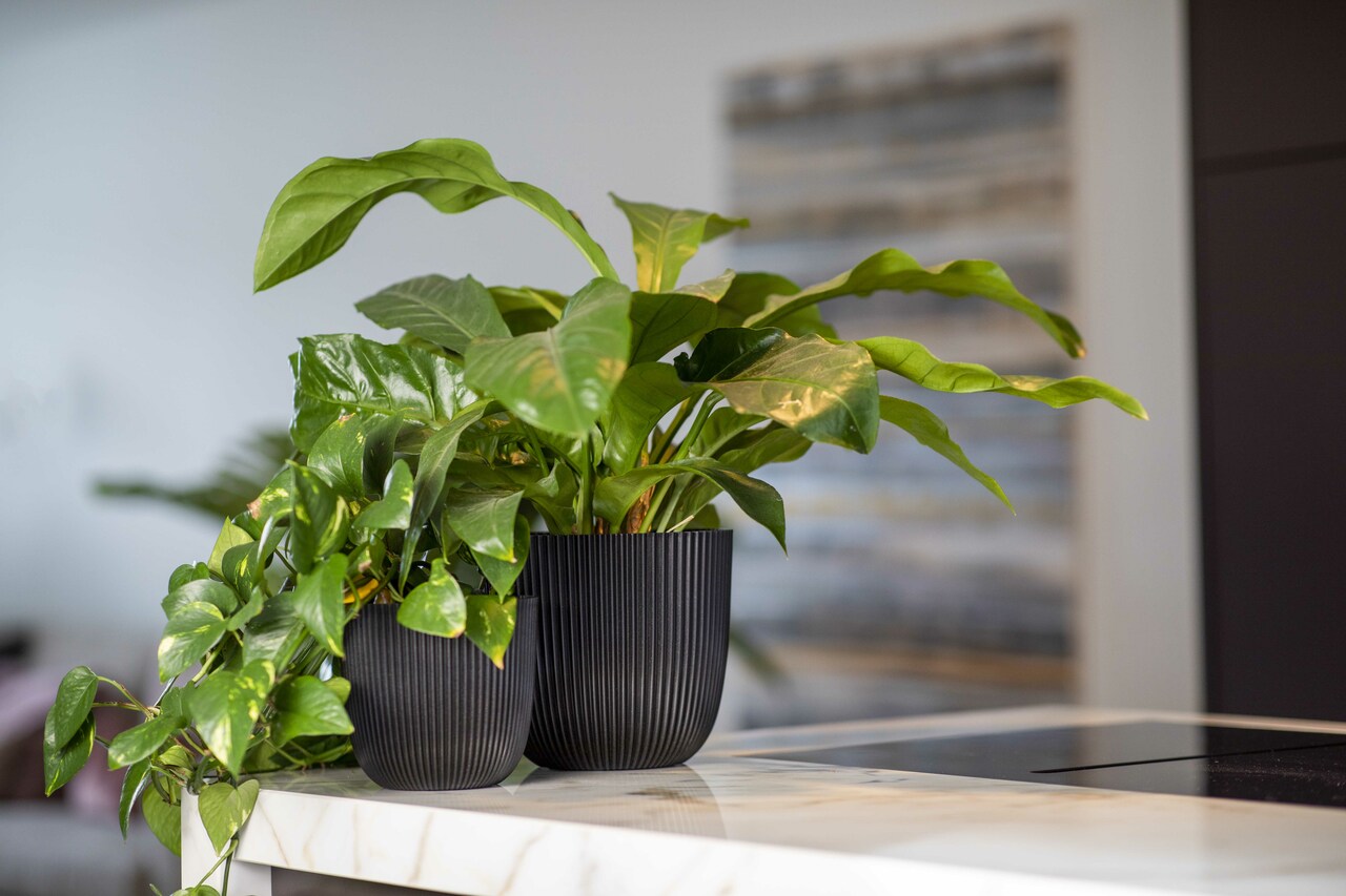 Pot Boule Groove Textile Noir Pot Boule Groove Textile Noir