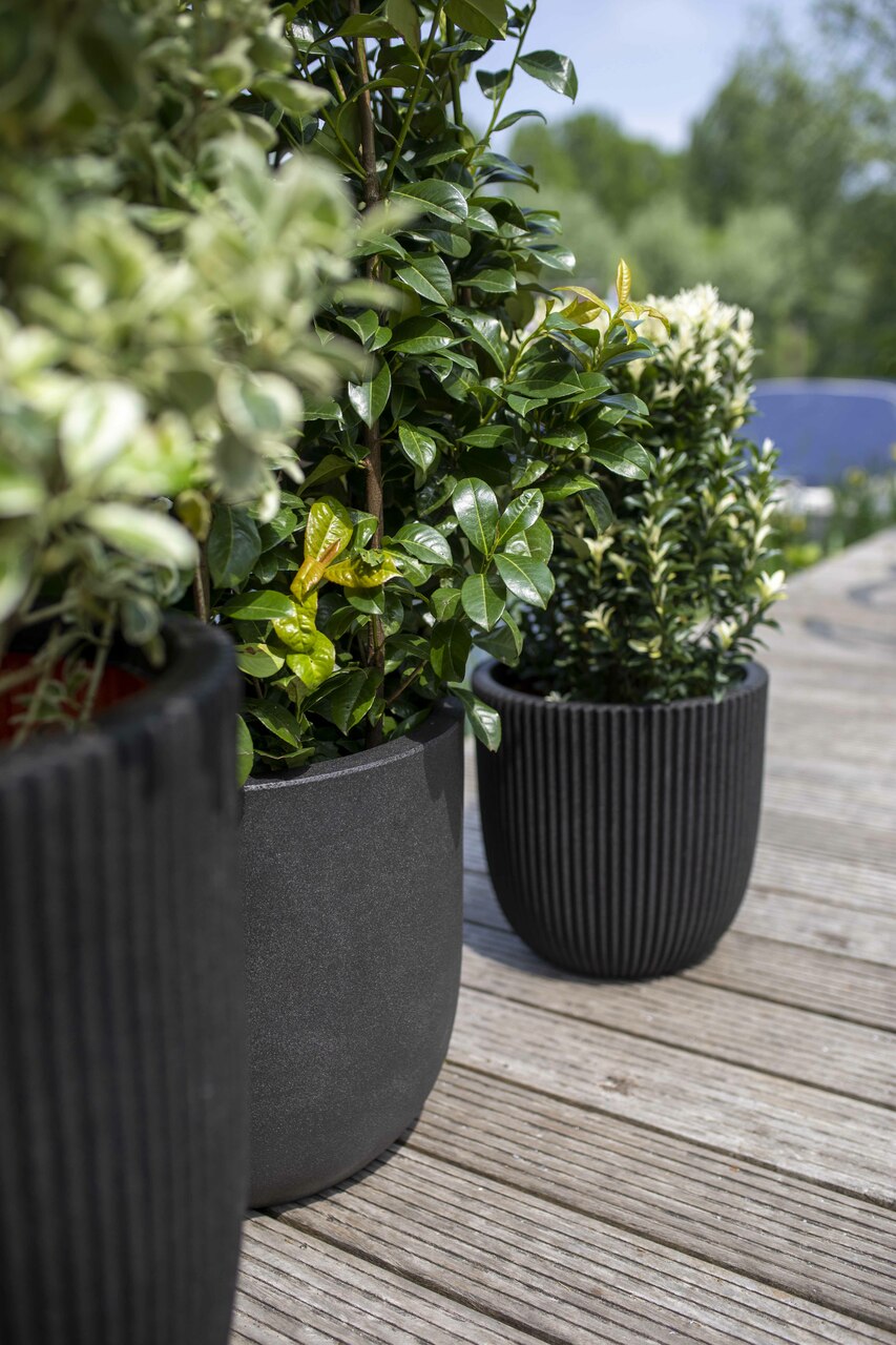 Pot Boule Smooth NL Noir Pot Boule Smooth NL Noir