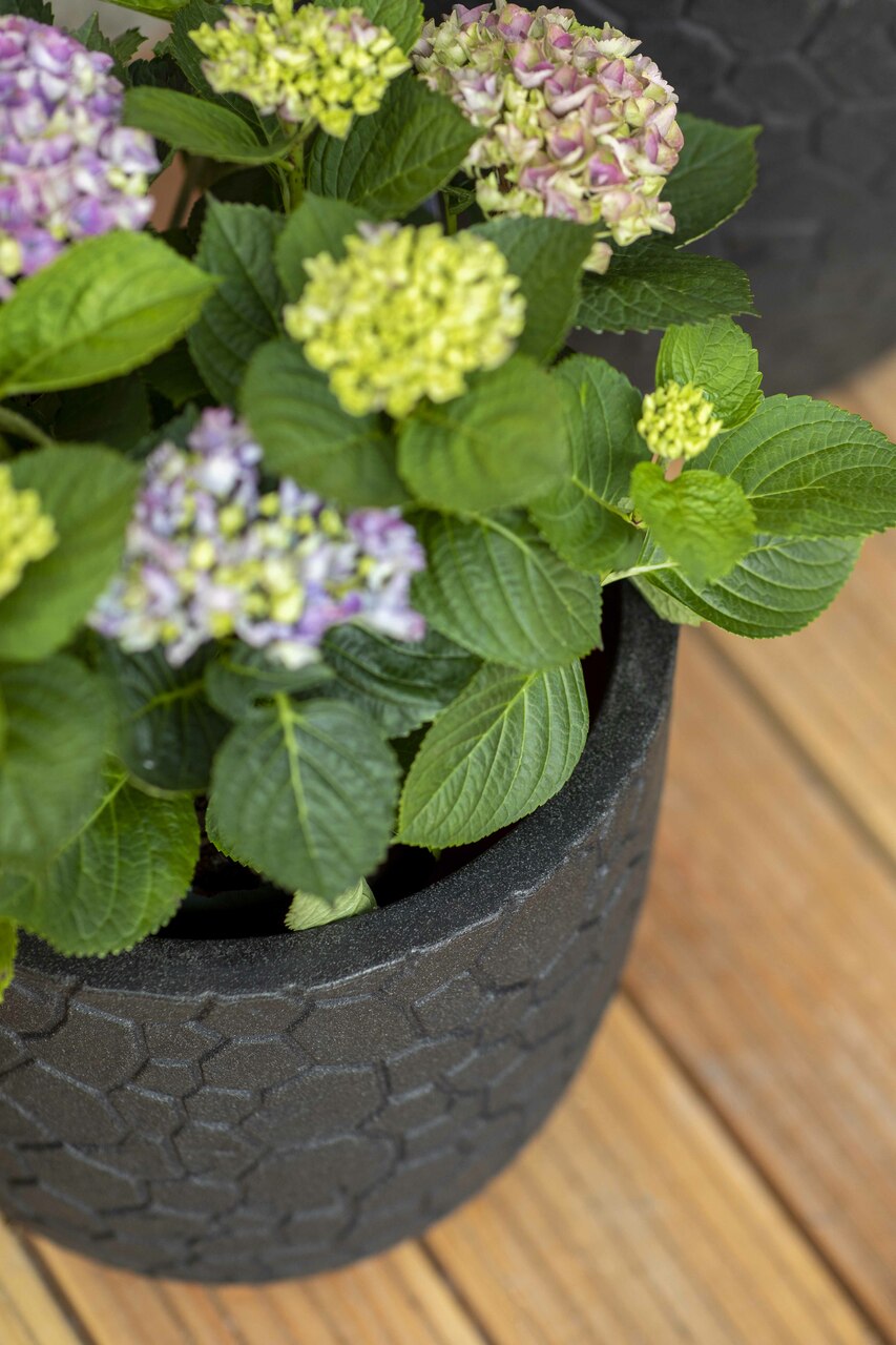 Pot Boule Clay NL Noir Pot Boule Clay NL Noir