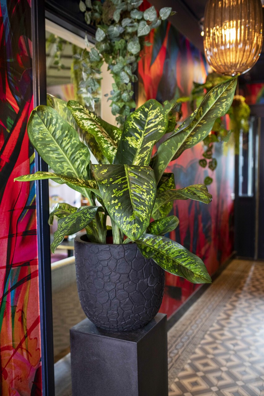 Pot Boule Clay NL Noir Pot Boule Clay NL Noir