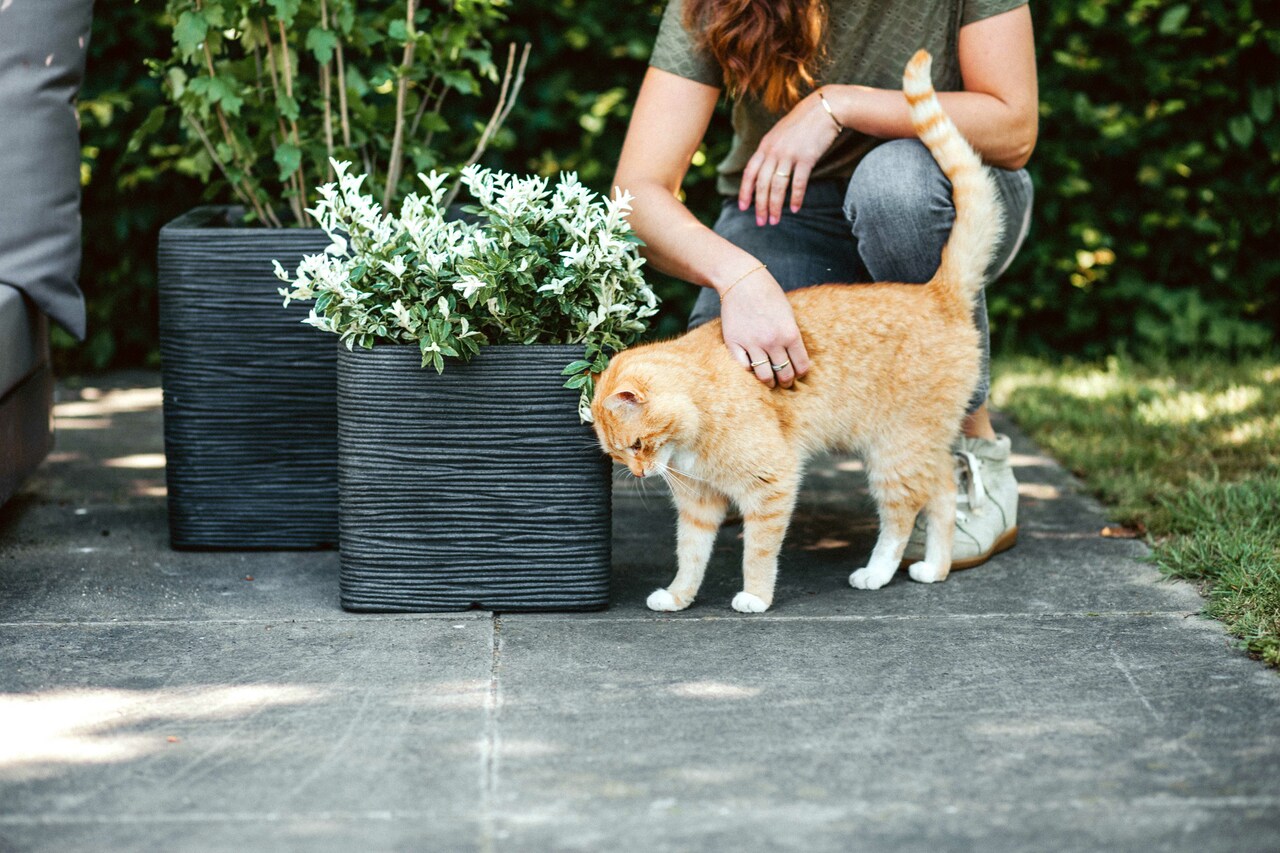 Pot Carré Rib NL Noir Pot Carré Rib NL Noir