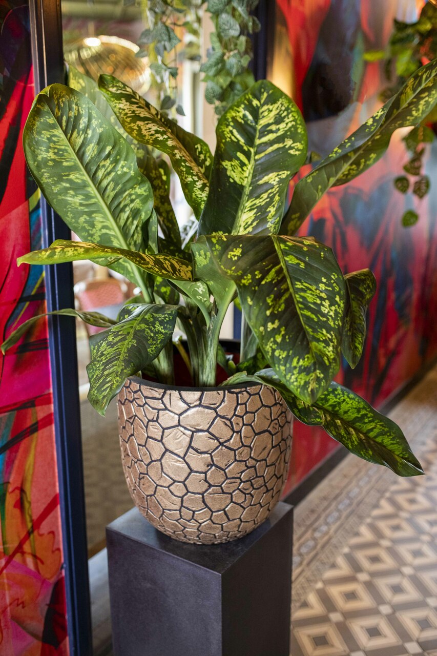 Pot Boule Clay NL Noir Or Pot Boule Clay NL Noir Or