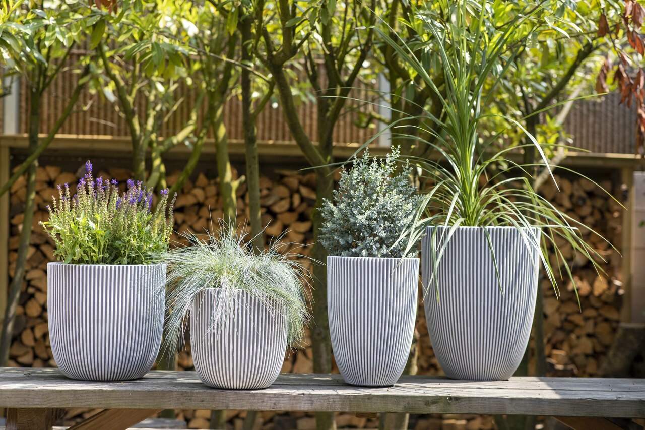 Pot Boule Groove NL Ivoire Pot Boule Groove NL Ivoire