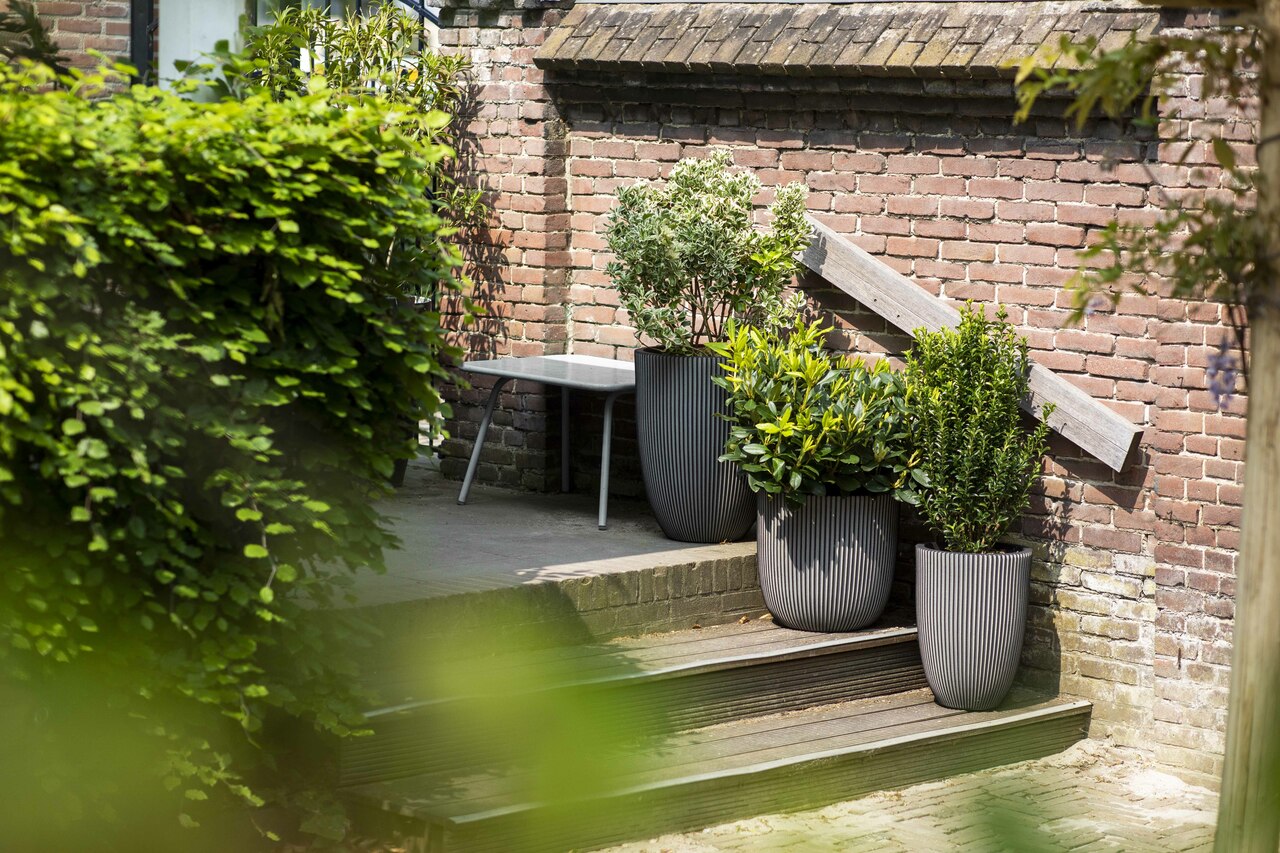 Vase Élégant Bas Groove NL Anthracite