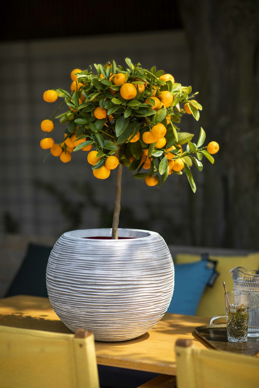 Vase Boule Rib NL Ivoire Vase Boule Rib NL Ivoire