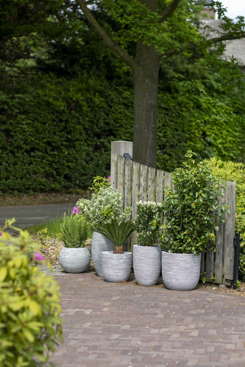 Vase Élégant Bas Rib NL Ivoire