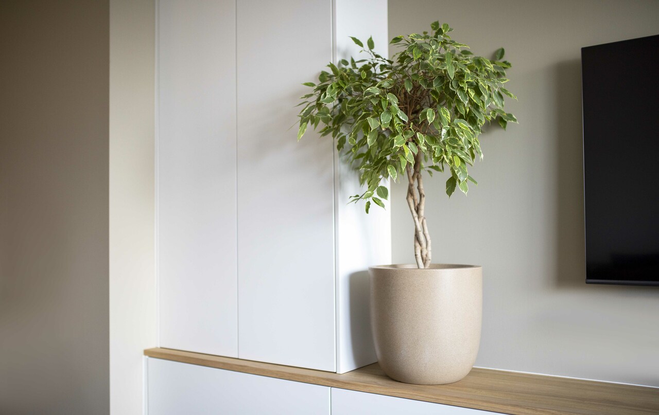 Pot Boule Liège Smooth NL Terrazzo Beige Pot Boule Liège Smooth NL Terrazzo Beige