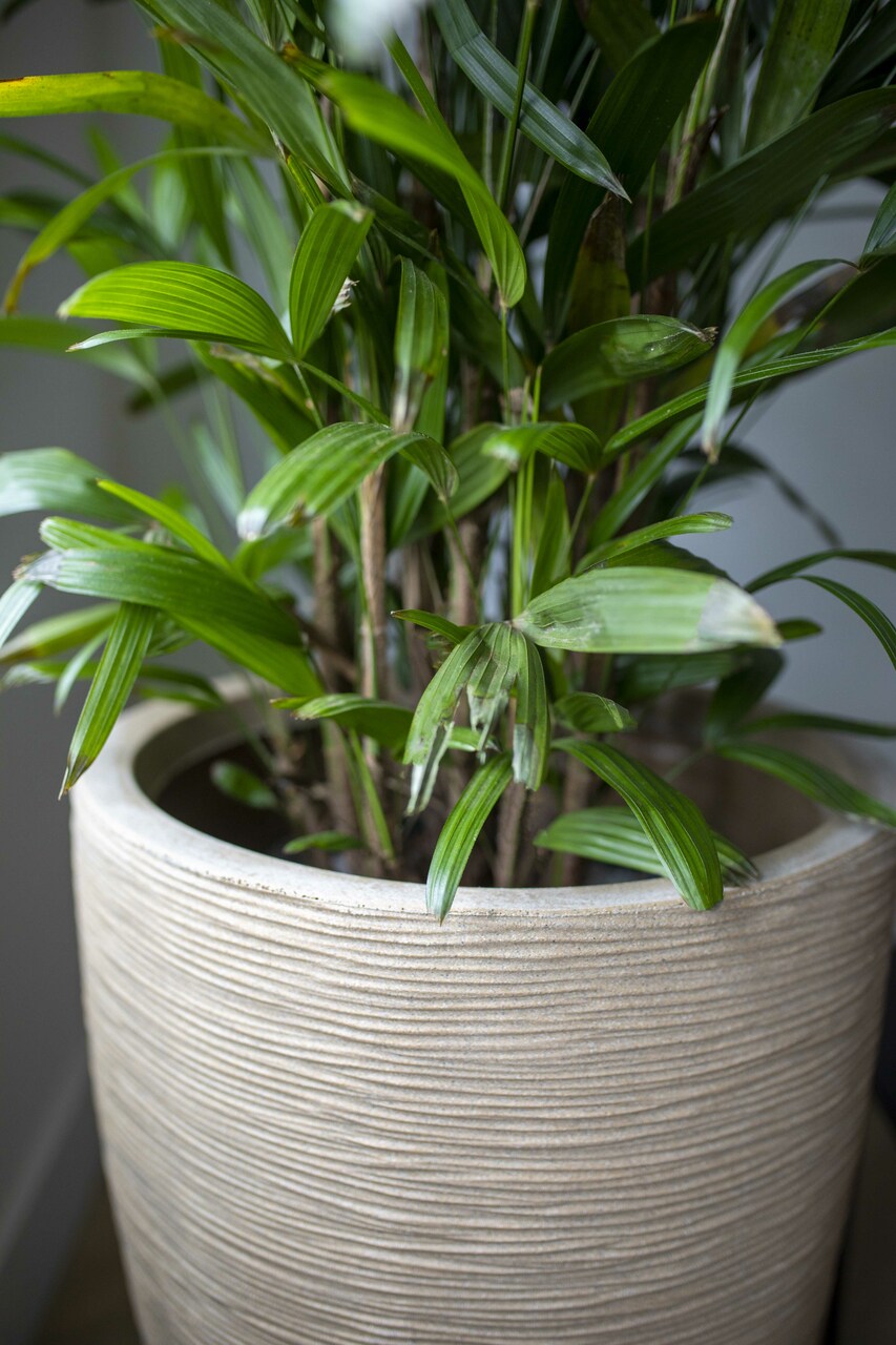 Vase Élégant Bas Liège Rib NL Terrazzo Beige