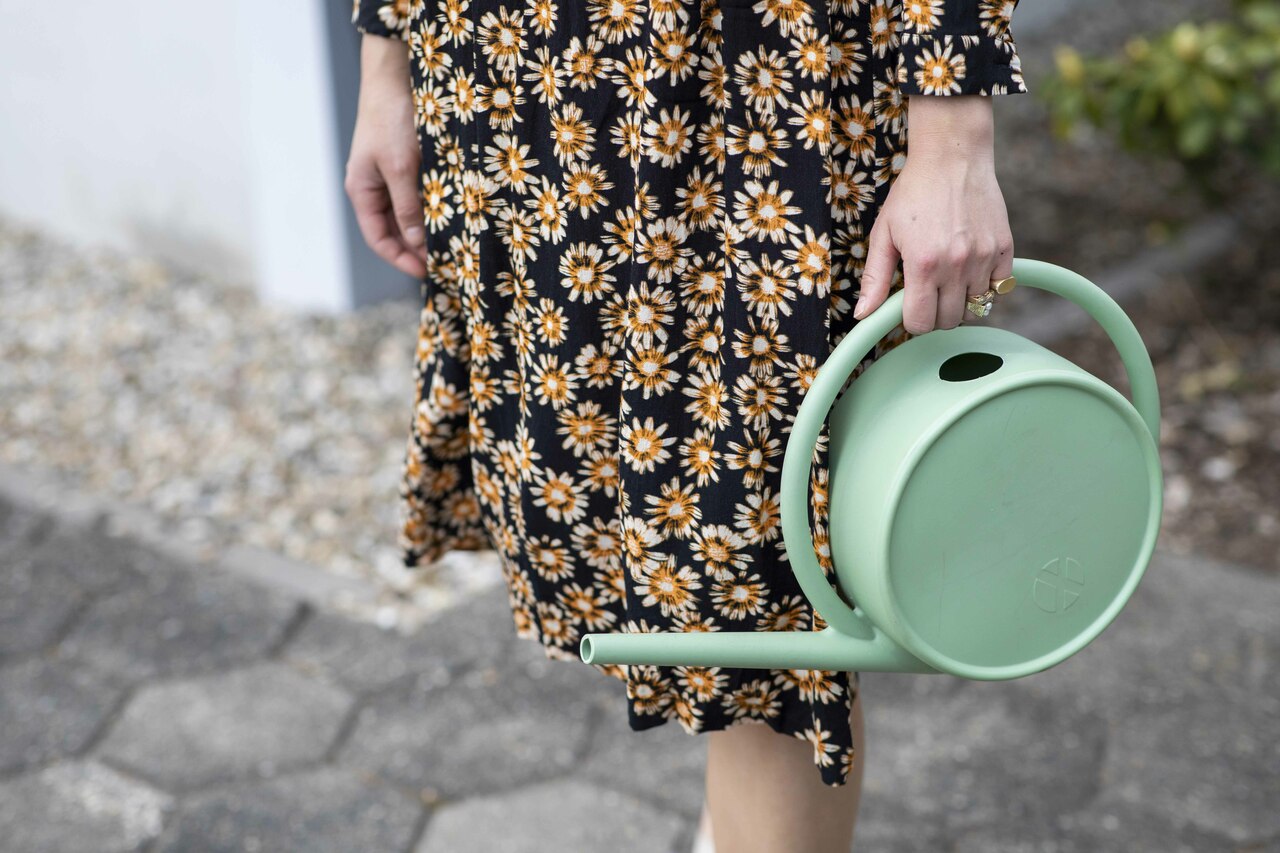 Arrosoir Matcha Vieux Vert  Arrosoir Matcha Vieux Vert