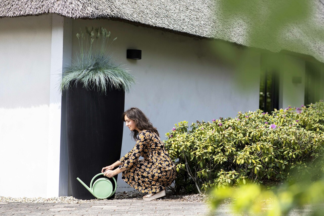 Arrosoir Matcha Vieux Vert  Arrosoir Matcha Vieux Vert