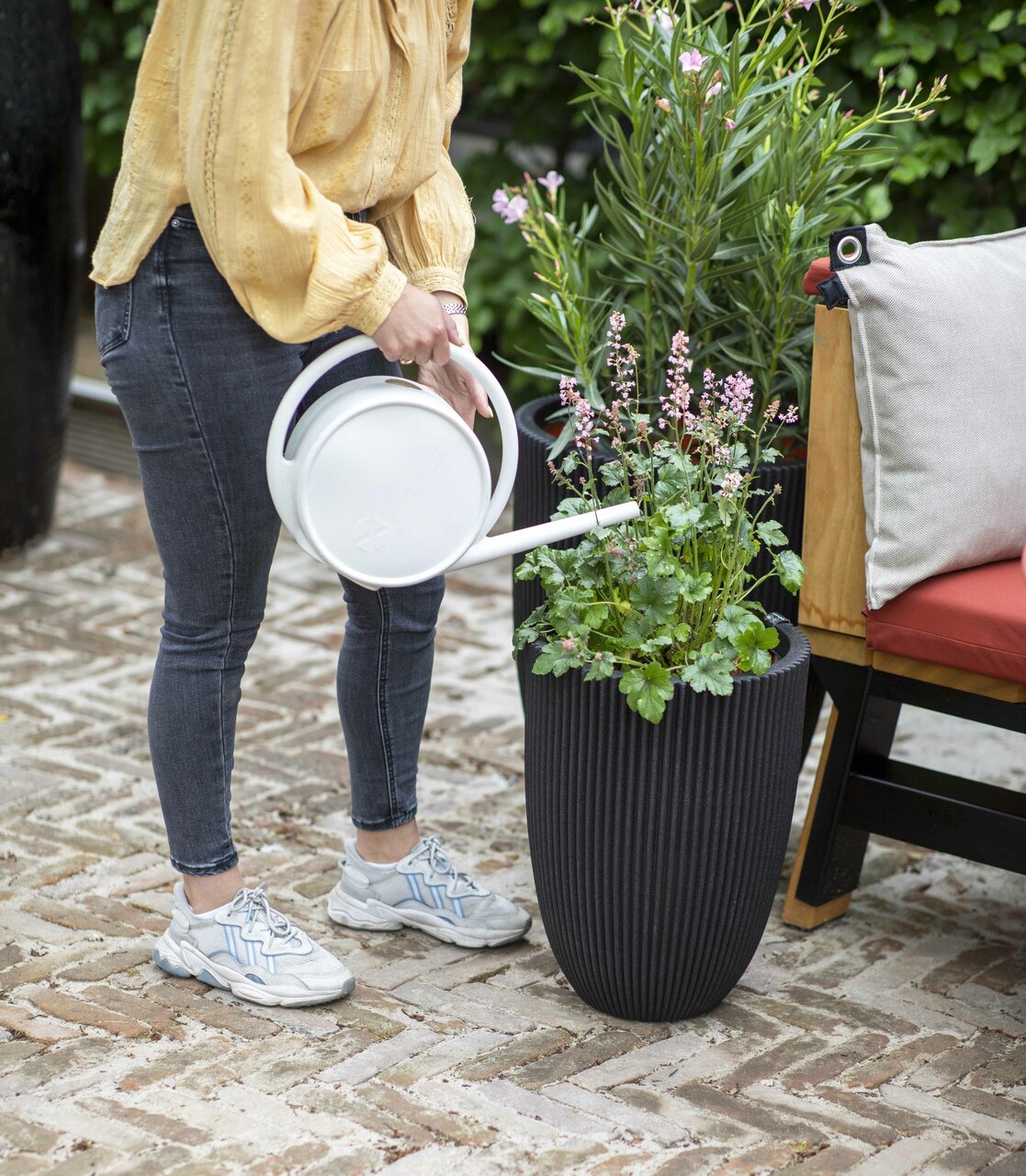 Arrosoir Matcha Gris Clair