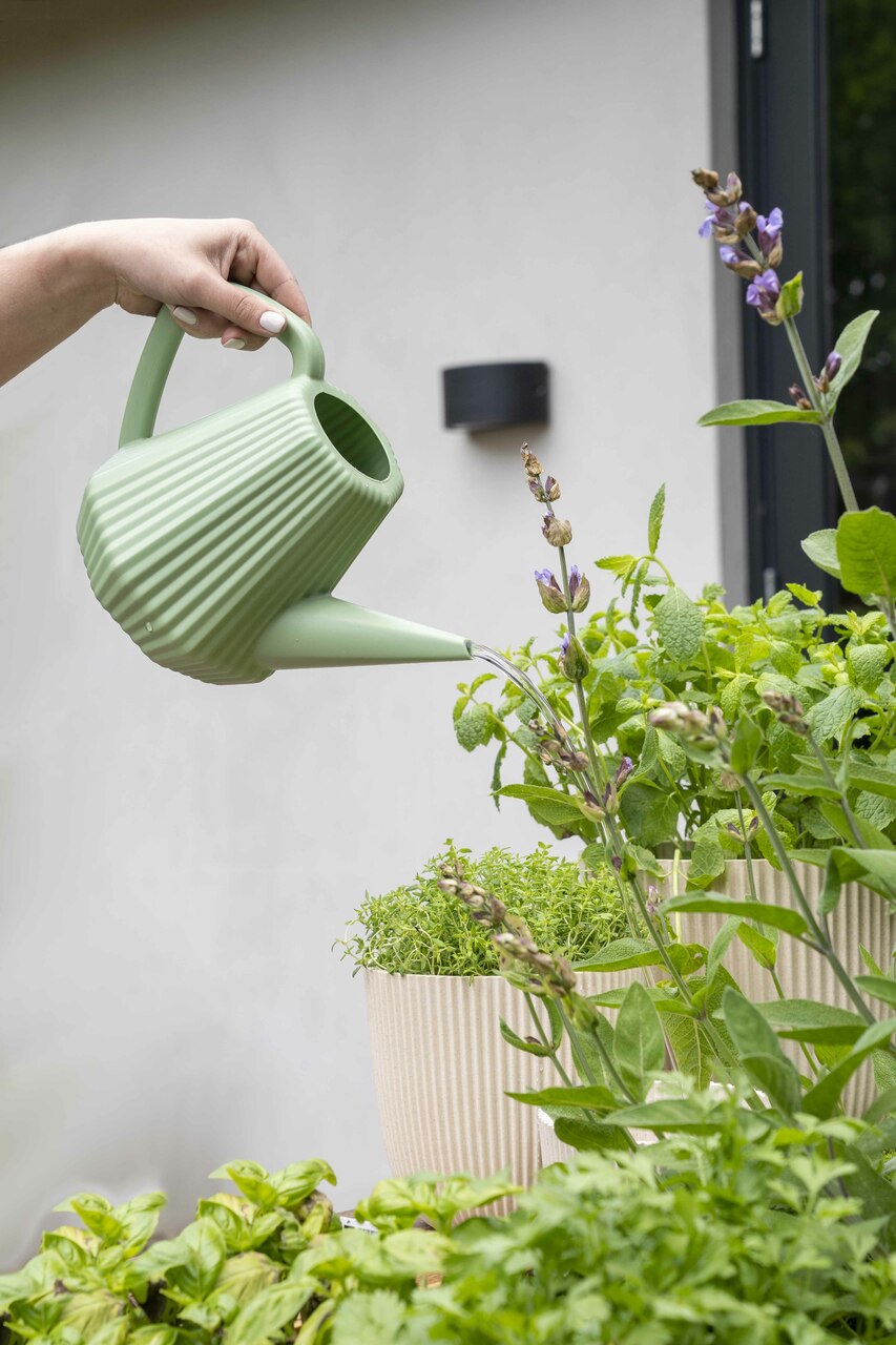 Arrosoir Doppio Groove Vieux Vert