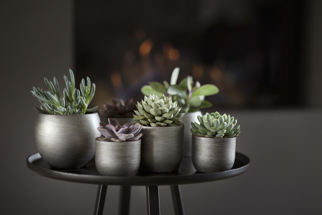 Vase boule Retro argent