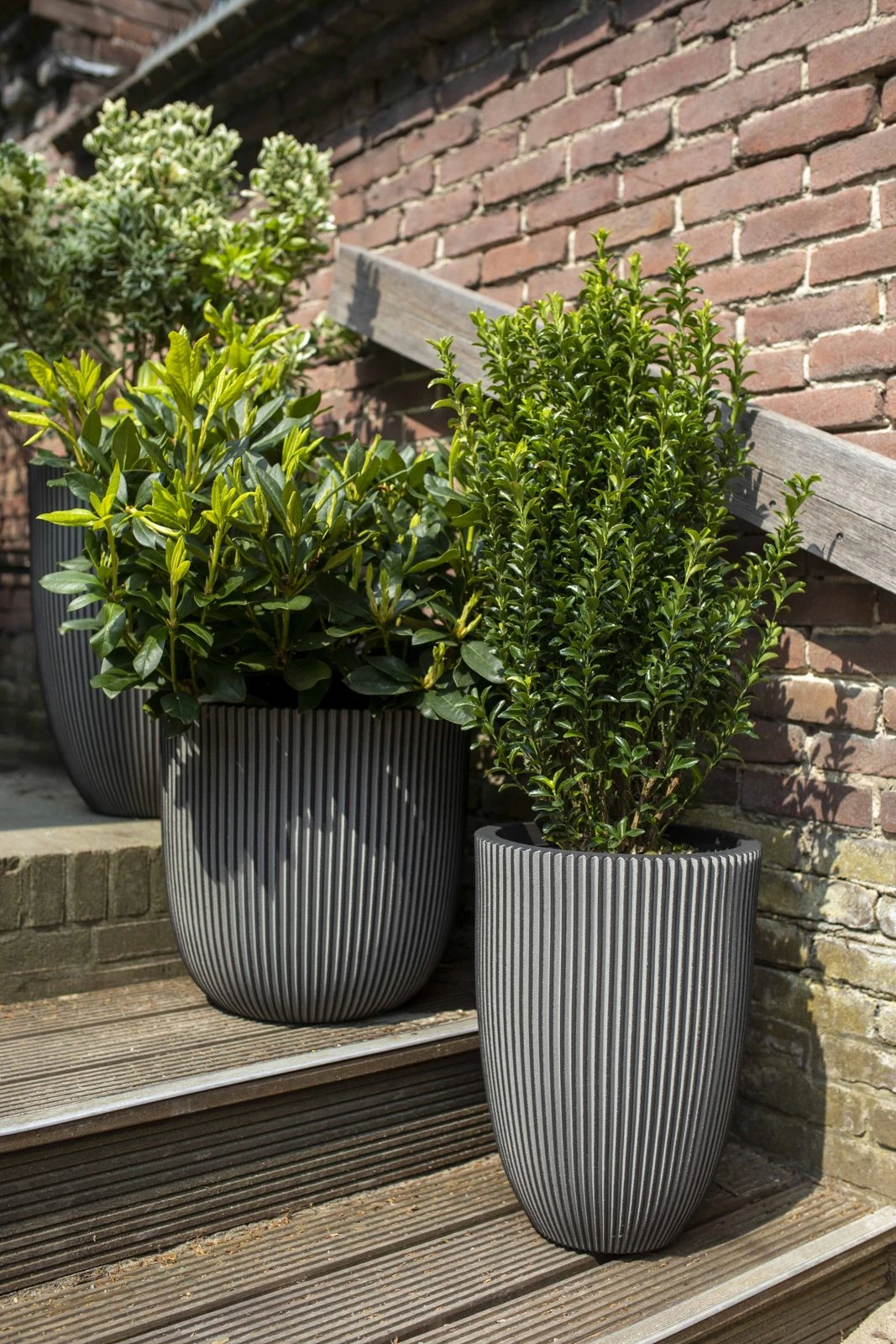 Vase Elegant Low Groove Anthracite