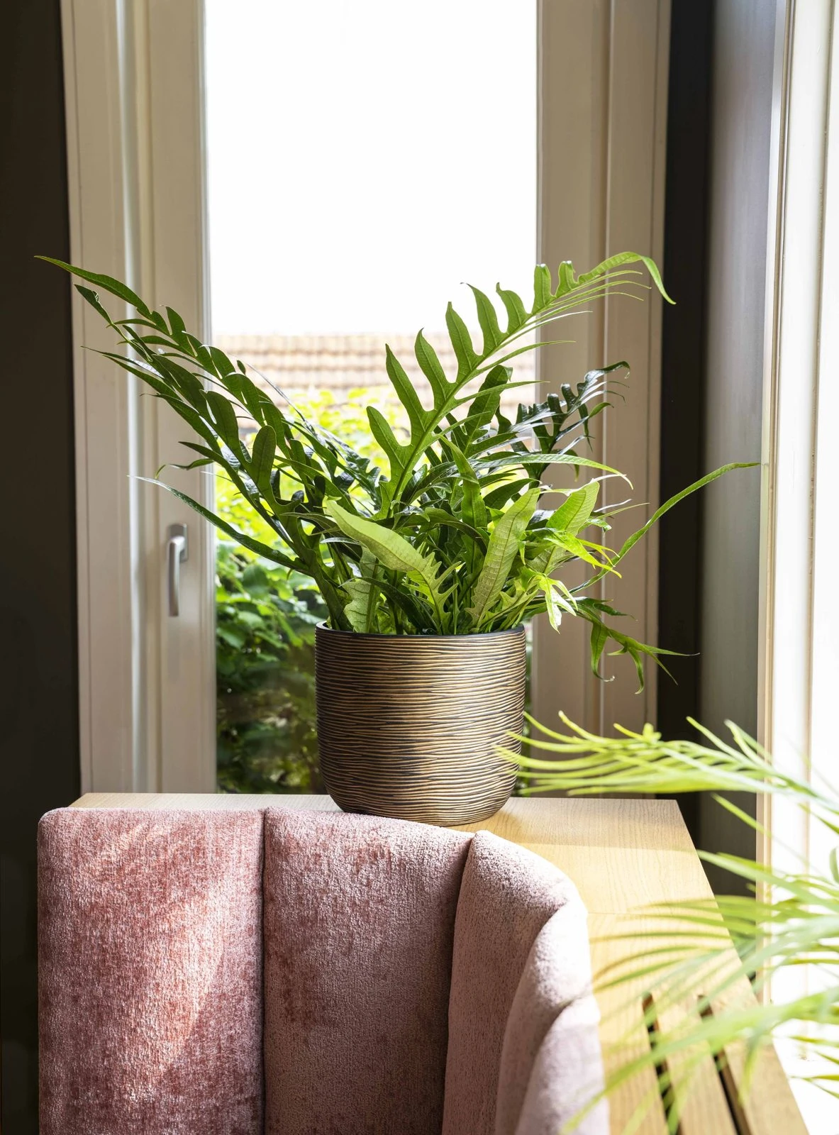 Indoor Rib Planter Ball Black gold