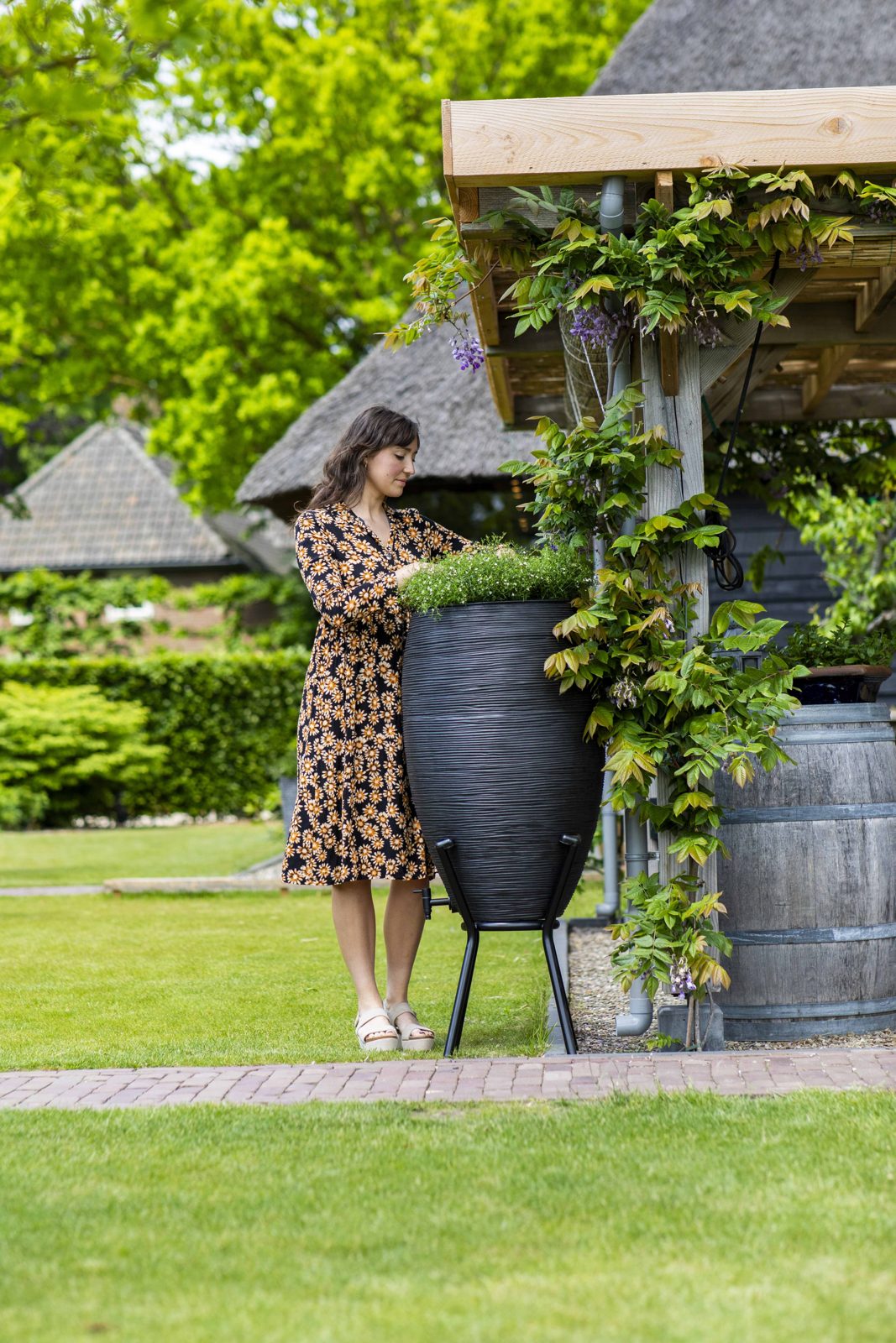 Rainbarrel Rib Black
