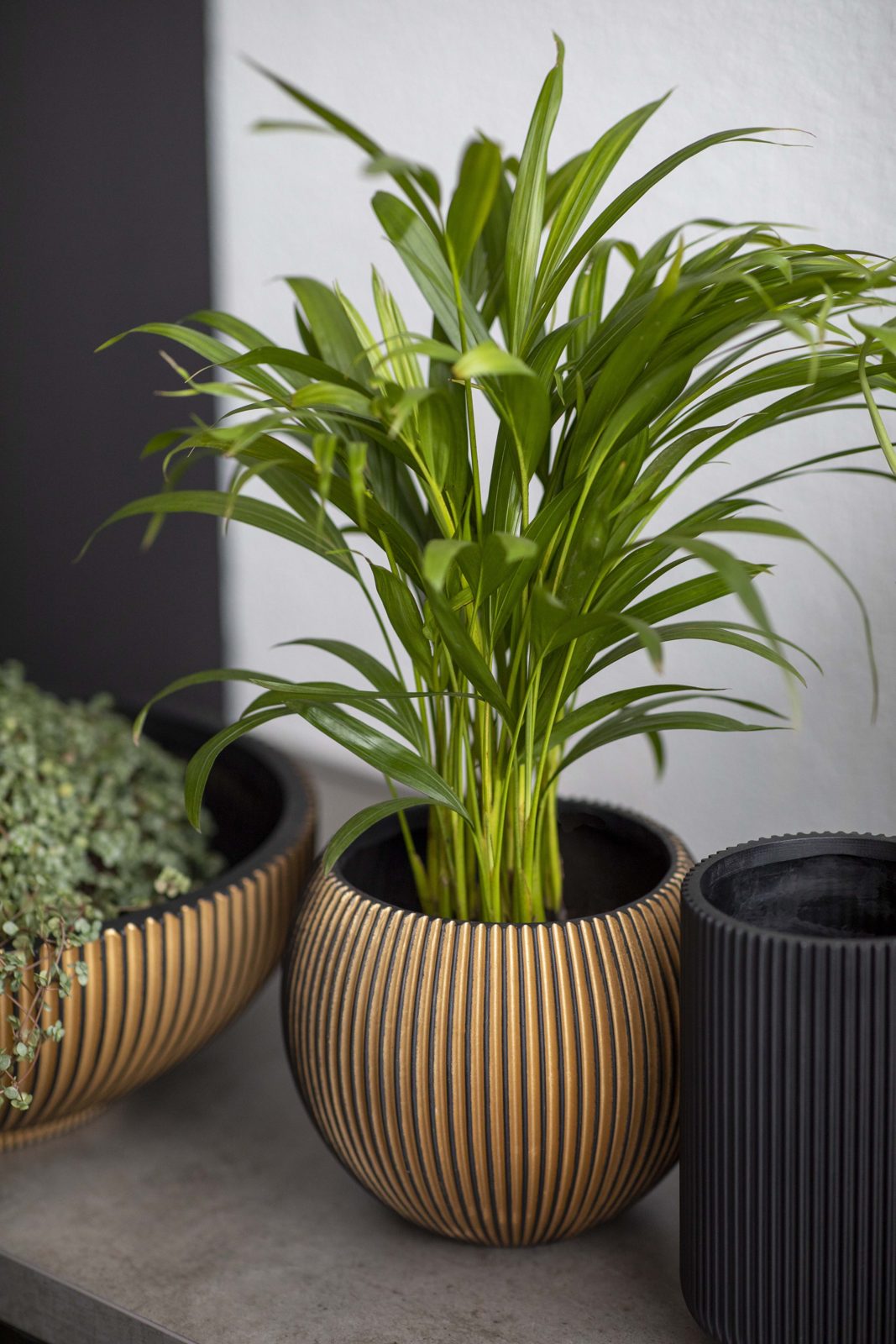 Indoor Groove Vase High Black