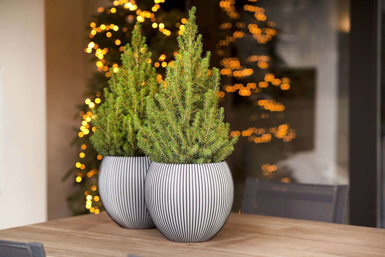 Indoor Groove Vase Ball Anthracite