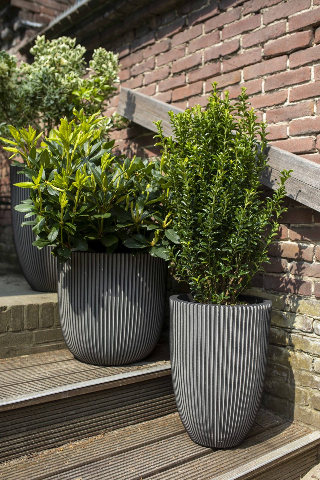 Planter ball Groove NL Anthracite Planter ball Groove NL Anthracite